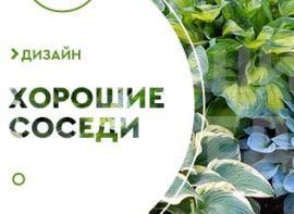 Сусіди для хост: кого вибрати - корисні статті про садівництво від Agro-Market