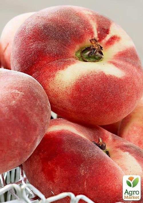 Інжирний персик Інжирний класичний (літній сорт, середній термін дозрівання)
Інжирний персик Інжирний класичний (літній сорт, середній термін дозрівання)