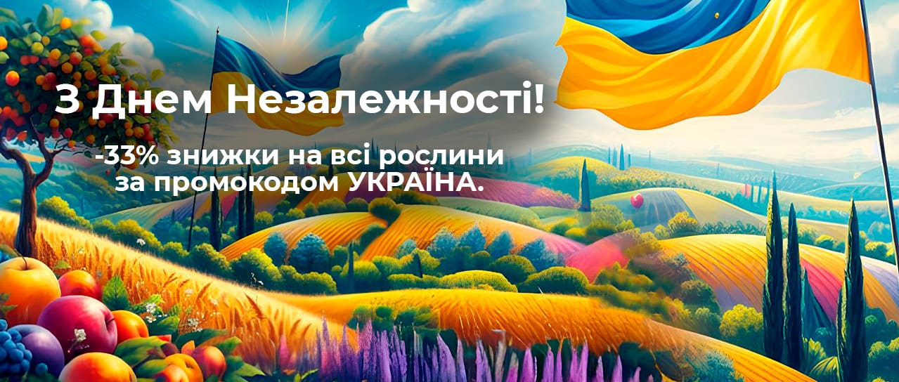 З Днем Незалежності України!