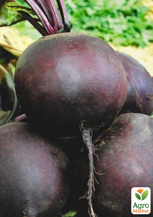 На вагу Буряк Бариня ТМ Весна ціна за 10г
На вагу Буряк Бариня ТМ Весна ціна за 10г