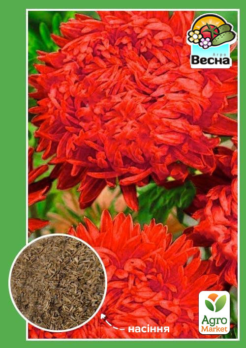 Астра Ротер Турм ТМ Весна 0.2г
Астра Ротер Турм ТМ Весна 0.2г