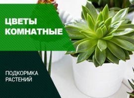 Підгодовування кімнатних рослин - корисні статті про садівництво від Agro-Market