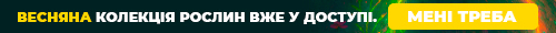Весняна колекція рослин вже у доступі
