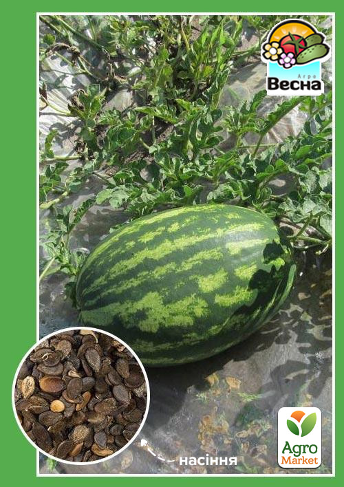 Кавун Бочка меду (Новий пакет) ТМ Весна 1.5г
Кавун Бочка меду (Новий пакет) ТМ Весна 1.5г