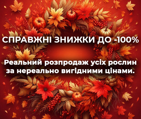 Справжні знижки до -100%!