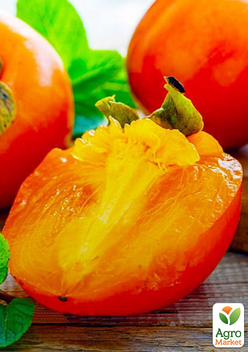 Хурма на виргинском морозостойком подвое Гора Говерла высший сорт!
Хурма на виргинском морозостойком подвое Гора Говерла высший сорт!