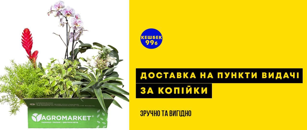 Доставка на пункти видачі замовлень за копійки