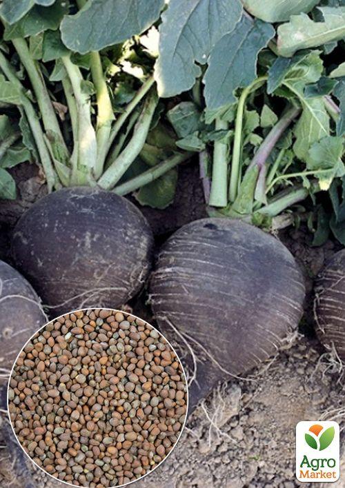 На вагу Редька Зимова чорна ТМ Весна ціна за 15г
На вагу Редька Зимова чорна ТМ Весна ціна за 15г