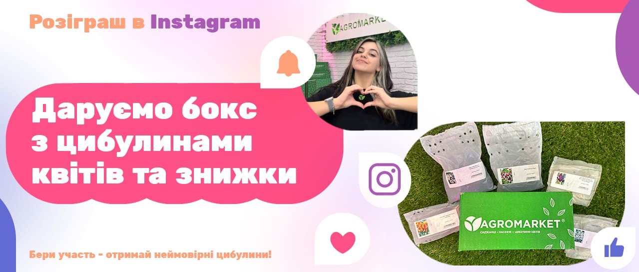 Розіграш: Бокс з цибулинами квітів та знижки!
