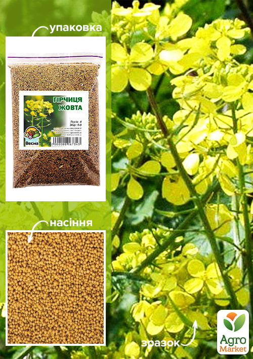 Гірчиця жовта ТМ Весна 500г
Гірчиця жовта ТМ Весна 500г