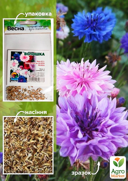 Волошка (Зипер) ТМ Весна 0,5г
Волошка (Зипер) ТМ Весна 0,5г