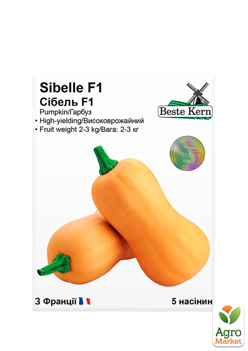 Гарбуз Сібель 2-3кг ТМ Beste Kern 5шт
Гарбуз Сібель 2-3кг ТМ Beste Kern 5шт