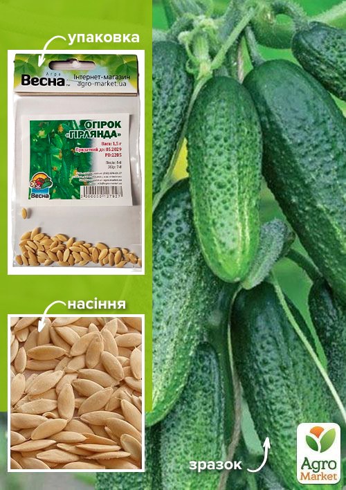 Огірок Гірлянда (Зипер) ТМ Весна 0.5г
Огірок Гірлянда (Зипер) ТМ Весна 0.5г