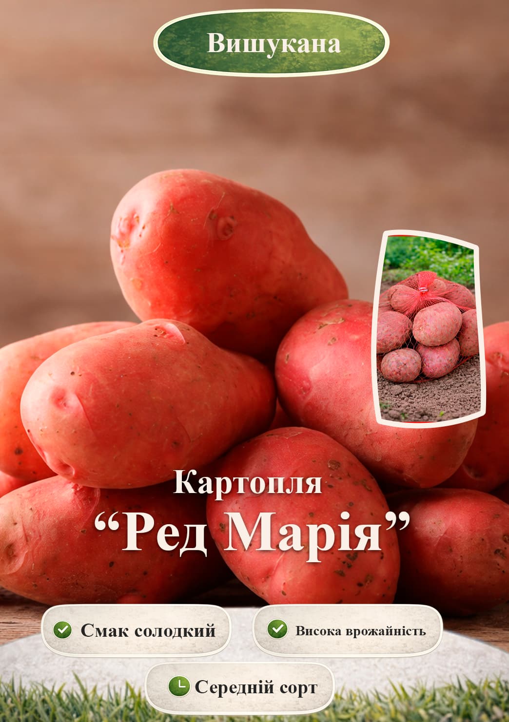 Эксклюзив! Картофель Рэд Мария семенной среднеспелый (1 репродукция)
Эксклюзив! Картофель Рэд Мария семенной среднеспелый (1 репродукция)