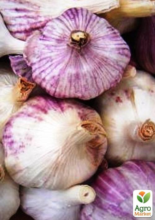 Чеснок посадочный (воздушные семена) Одесский 100г
Чеснок посадочный (воздушные семена) Одесский 100г