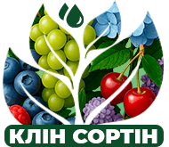 Садовые премьеры