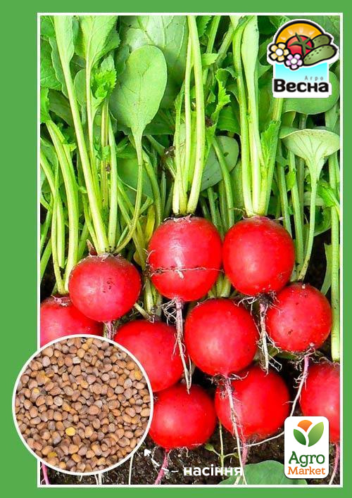 Редиска Жара ТМ Весна 2г
Редиска Жара ТМ Весна 2г