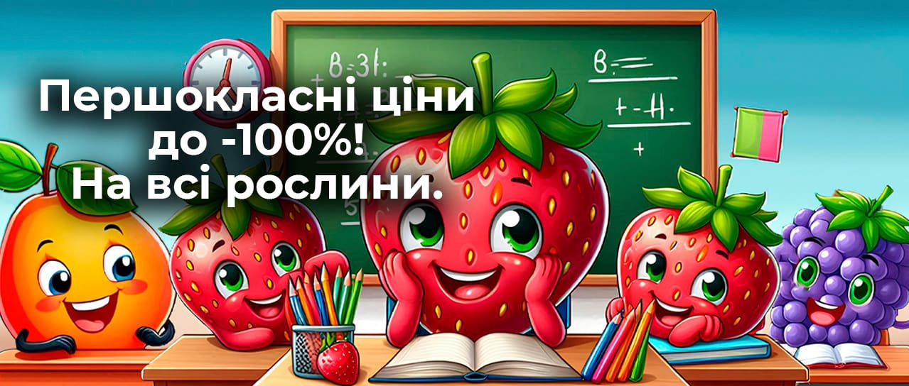 Першокласні ціни до -100%