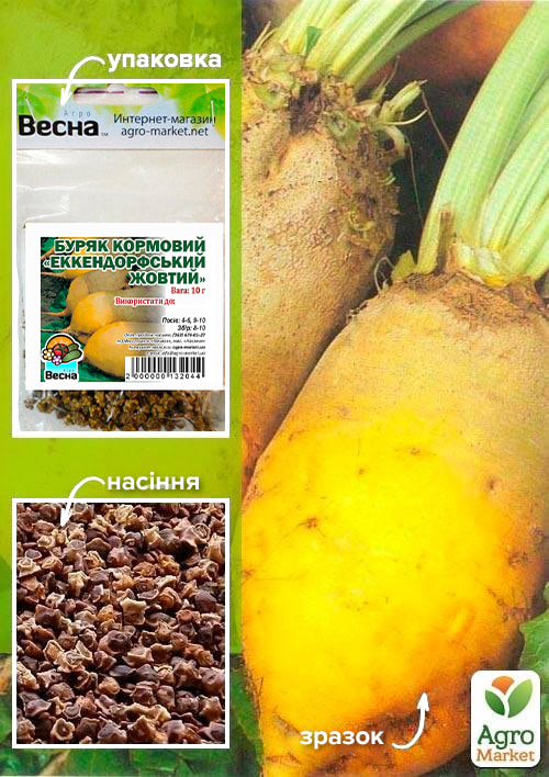 Свекла кормовая Эккендорфская желтая (Зипер) ТМ Весна 10г
Свекла кормовая Эккендорфская желтая (Зипер) ТМ Весна 10г