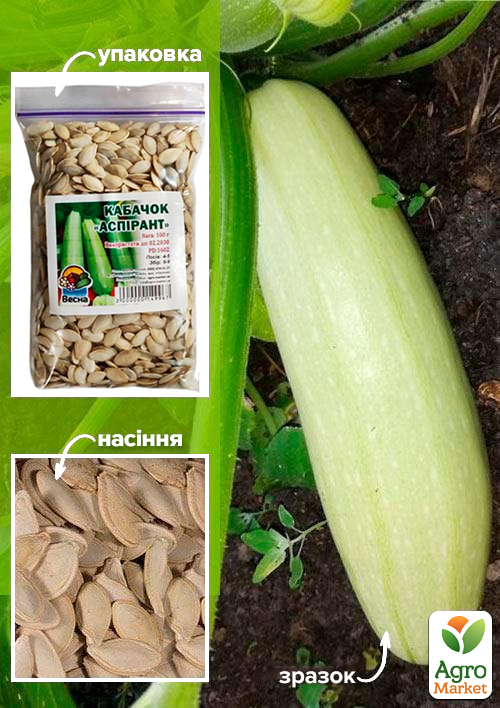 Кабачок Аспірант ТМ Весна 100г
Кабачок Аспірант ТМ Весна 100г