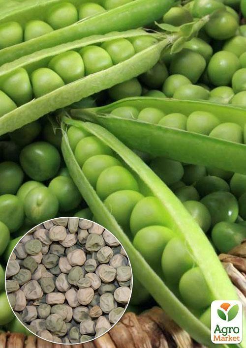 На вагу Горох Альфа ТМ Весна ціна за 50г
На вагу Горох Альфа ТМ Весна ціна за 50г