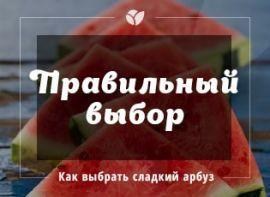 Як вибрати стиглий кавун - корисні статті про садівництво від Agro-Market