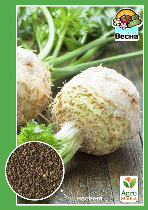 Сельдерей корневой Яблочный ТМ Весна 0.3г
Сельдерей корневой Яблочный ТМ Весна 0.3г