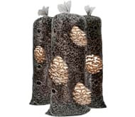 Грибные блоки