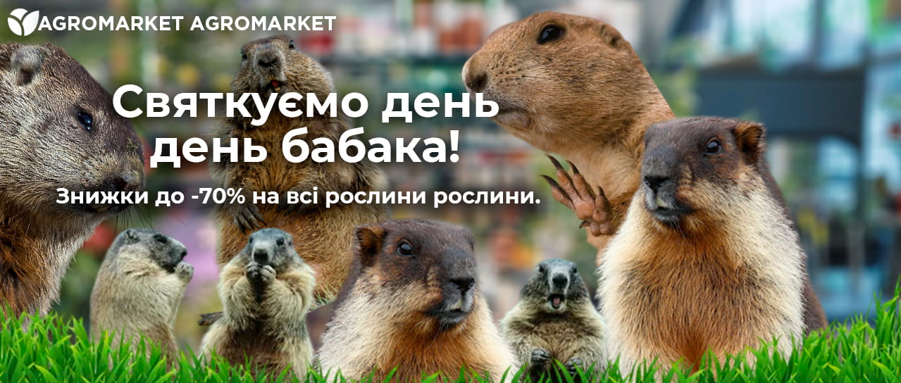 Святкуємо день день бабака!