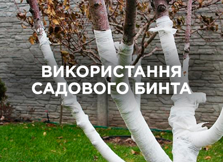 Садовий бинт: як використовувати і чим замінити Садовий бинт: як використовувати і чим замінити