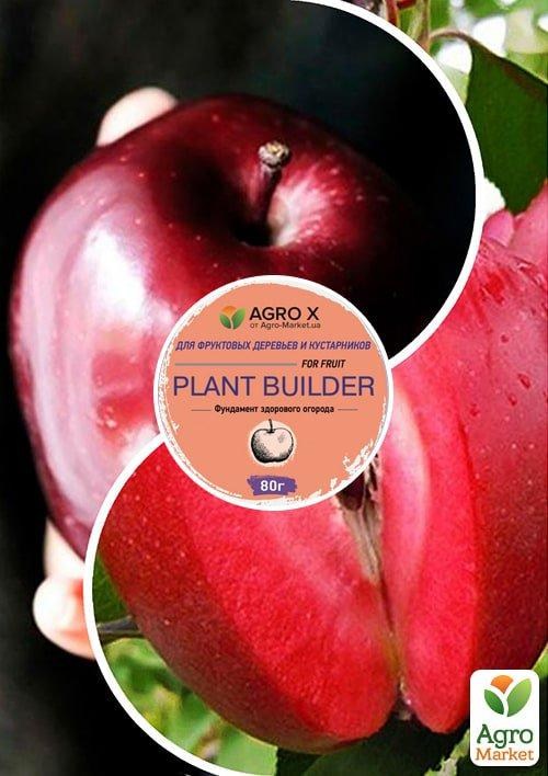 Яблоня, комплект из 2-х сортов Райские яблочки (Paradise apples) 2шт саженцев + лучшее удобрение
Яблоня, комплект из 2-х сортов Райские яблочки (Paradise apples) 2шт саженцев + лучшее удобрение