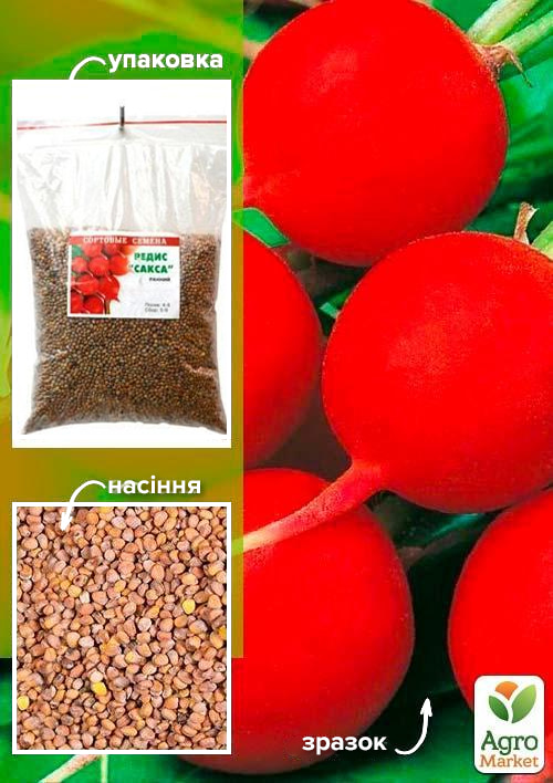 Редис Сакса ТМ Весна 500г
Редис Сакса ТМ Весна 500г