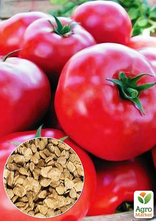 На развес Томат Лотос розовый ТМ Весна цена за 1г
На развес Томат Лотос розовый ТМ Весна цена за 1г