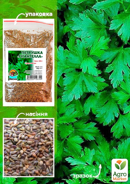 Петрушка Гигантелла ТМ Весна 100г
Петрушка Гигантелла ТМ Весна 100г