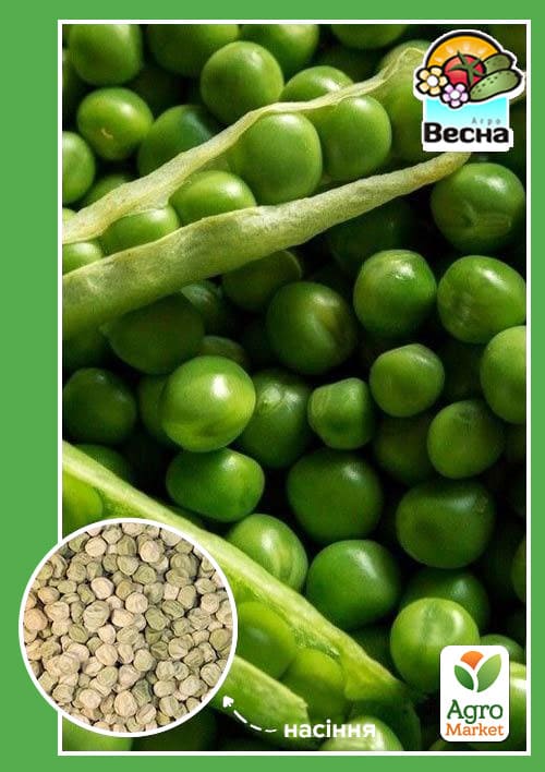 Горох Альфа ТМ Весна 10г
Горох Альфа ТМ Весна 10г