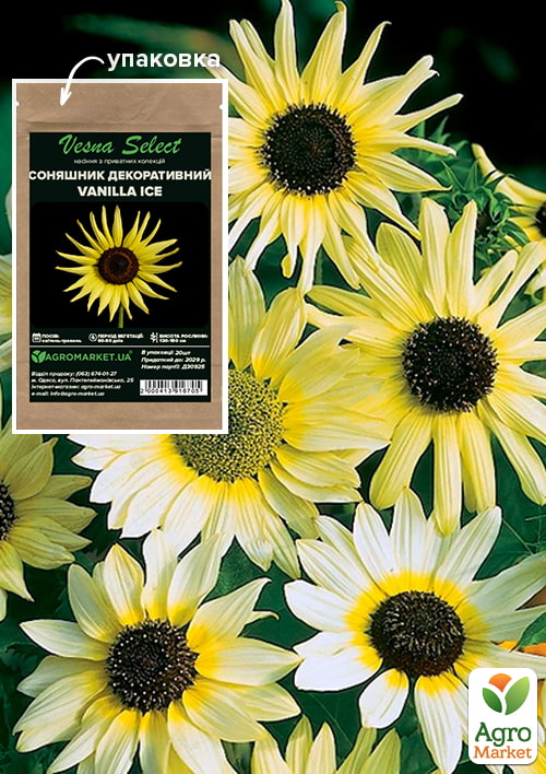 Соняшник декоративний Vanilla Ice ТМ Vesna Select 20шт
Соняшник декоративний Vanilla Ice ТМ Vesna Select 20шт
