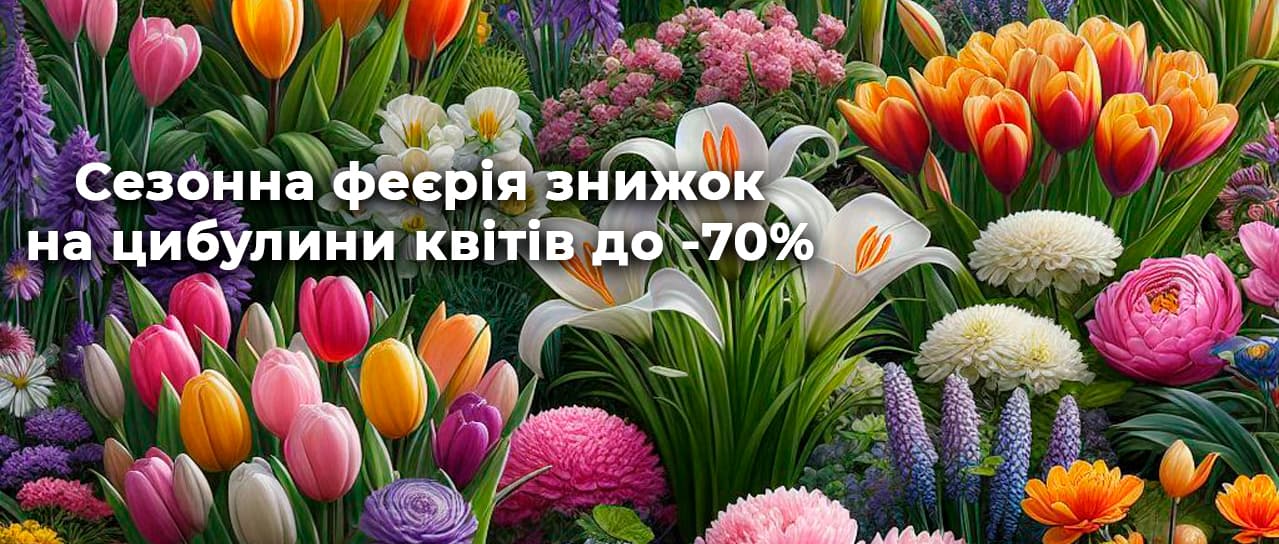 Сезонна феєрія знижок на цибулини квітів до -70%