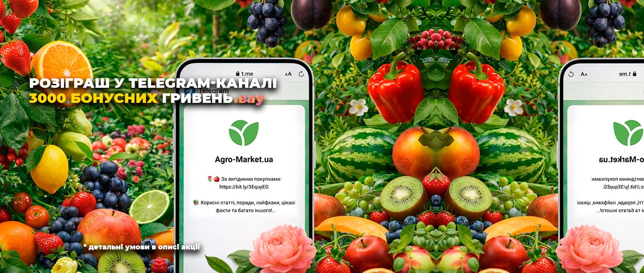 3000 бонусних гривень за підписку на Telegram-канал!