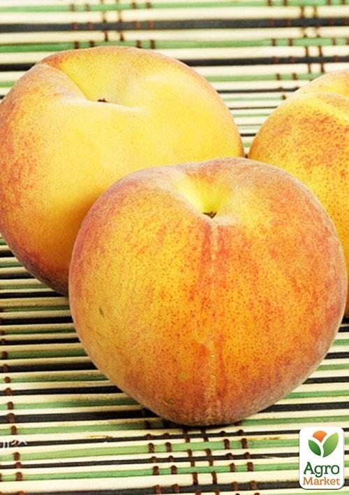 Персик T-3 Вайн Голд (літній сорт, середньопізній термін дозрівання)
Персик T-3 Вайн Голд (літній сорт, середньопізній термін дозрівання)