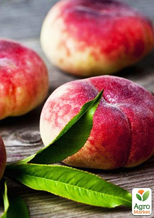 Інжирний персик Сатурн (літній сорт, середній термін дозрівання)
Інжирний персик Сатурн (літній сорт, середній термін дозрівання)