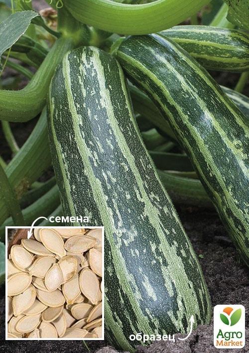 На развес Кабачок Тигрёнок ТМ Весна цена за 8г
На развес Кабачок Тигрёнок ТМ Весна цена за 8г