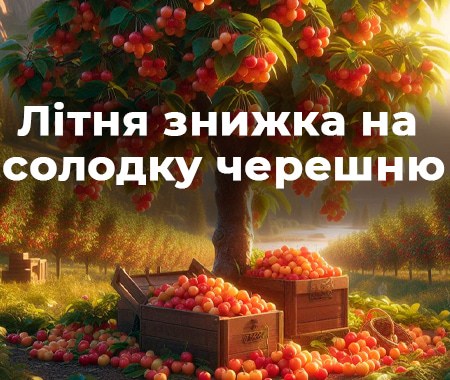Літня знижка на солодку черешню!