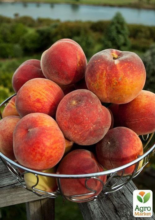 Персик "Демерджи"
Персик "Демерджи"