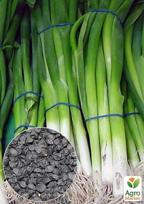 На вагу Цибуля На перо ТМ Весна ціна за 3г
На вагу Цибуля На перо ТМ Весна ціна за 3г