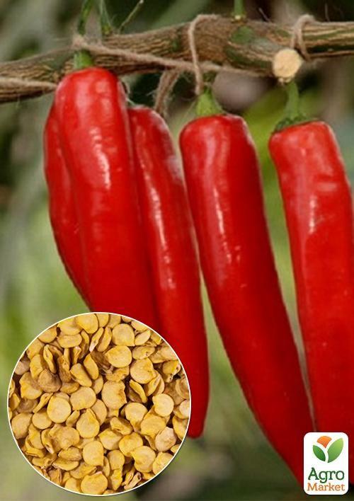 На вагу Перець Український гіркий ТМ Весна ціна за 2г
На вагу Перець Український гіркий ТМ Весна ціна за 2г