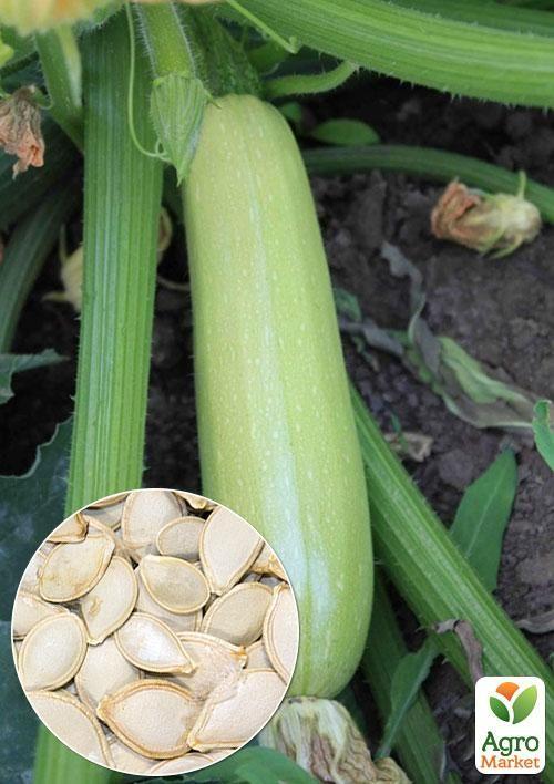 На развес Кабачок Ленуца F1 ТМ Весна цена за 3г
На развес Кабачок Ленуца F1 ТМ Весна цена за 3г