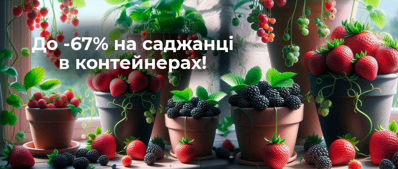 До -67% на саджанці в контейнерах! 
