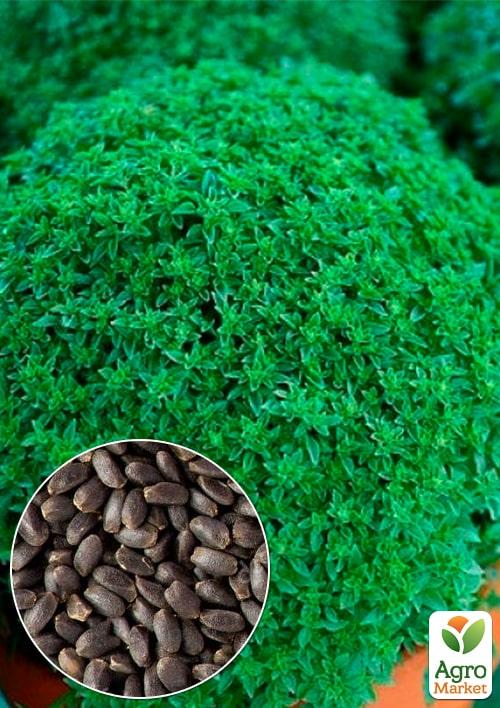 На вагу Базилік Гвоздиковий аромат ТМ Весна ціна за 3г
На вагу Базилік Гвоздиковий аромат ТМ Весна ціна за 3г