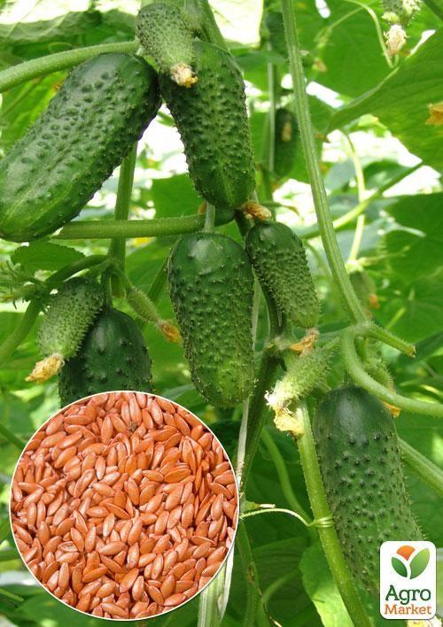 На вагу Огірок Виноградне гроно F1 ТМ Весна ціна за 2г
На вагу Огірок Виноградне гроно F1 ТМ Весна ціна за 2г