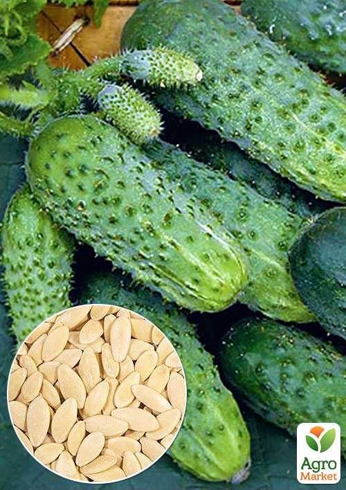 На вагу Огірок Коротун ТМ Весна ціна за 1г
На вагу Огірок Коротун ТМ Весна ціна за 1г